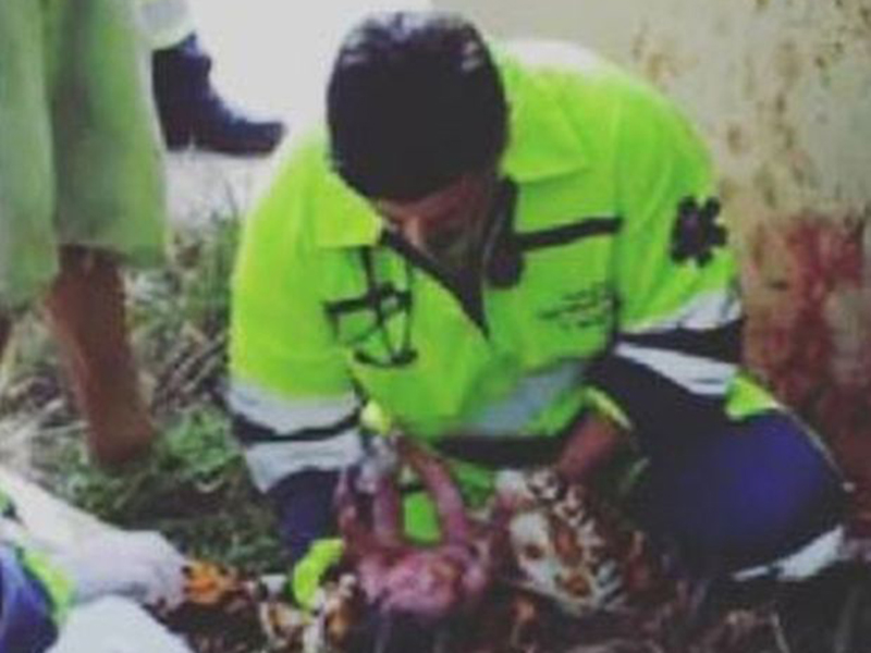 بالصور: رضيعة تخرج حية من رحم والدتها التي توفيت في حادث!